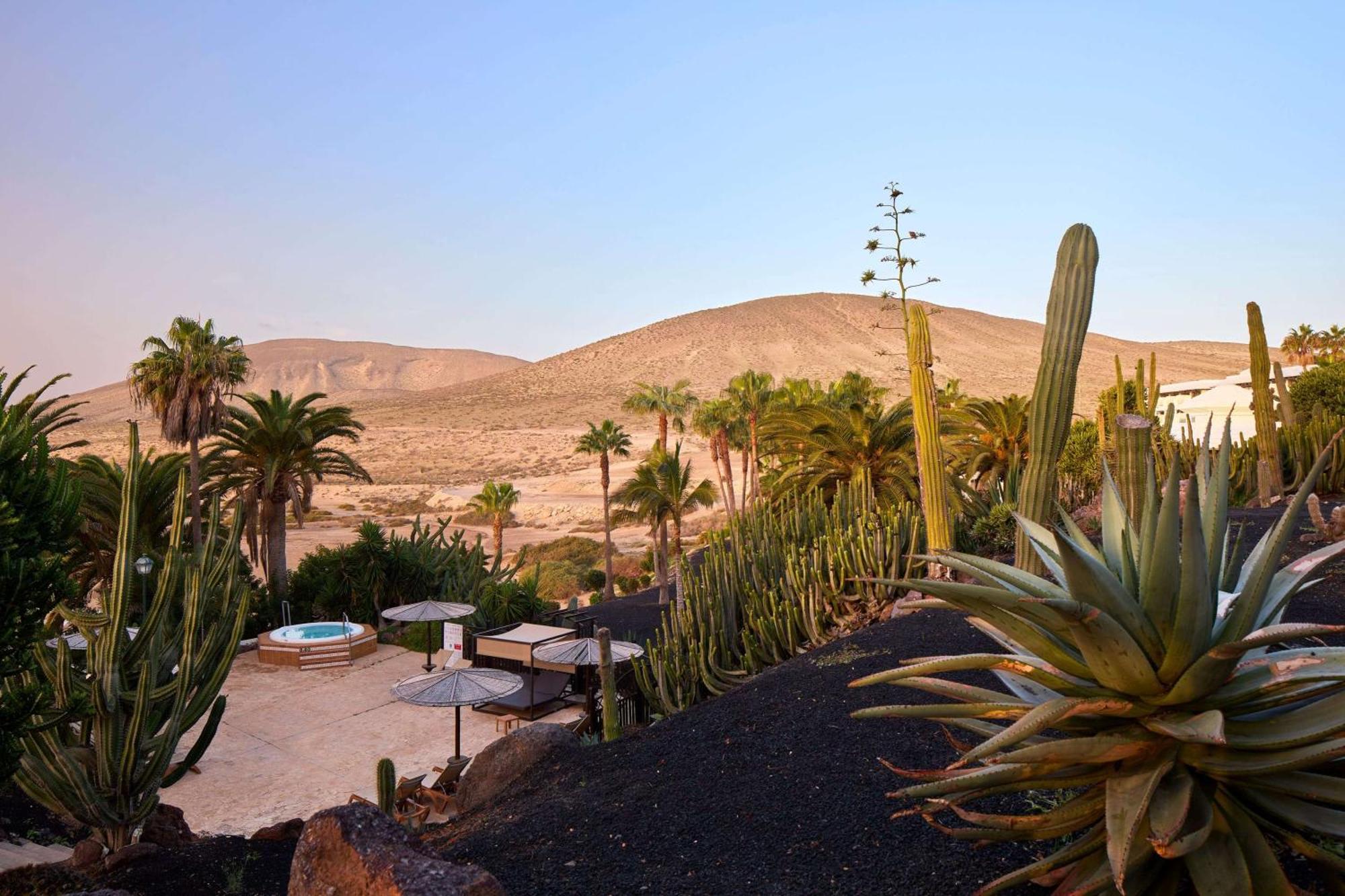 Paradisus By Melia Fuerteventura Costa Calma Dış mekan fotoğraf View of the hotel